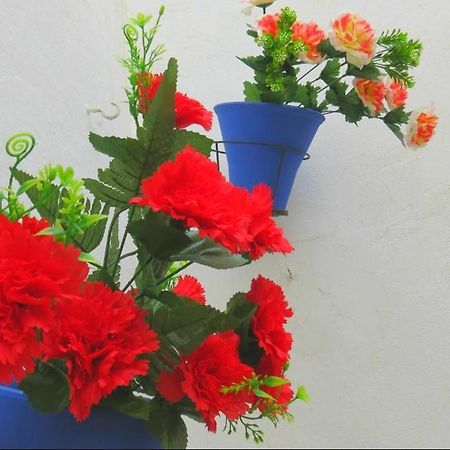 Apartamento Casa Mozarabe Córdoba Eksteriør billede